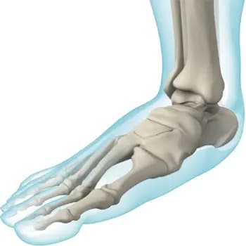 Flat Feet and Genetics